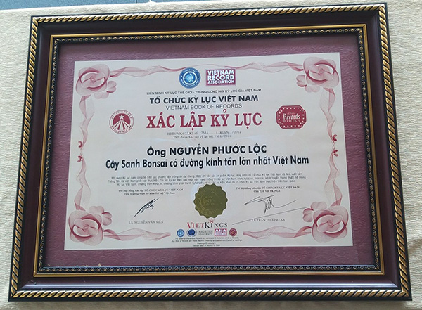 Liên Minh Kỷ Lục Thế Giới – Trung Ương Hội Kỷ Lục Gia Việt Nam xác lập kỷ lục “Cây Sanh Bonsai có đường kính tán lớn nhất Việt Nam” năm 2021.